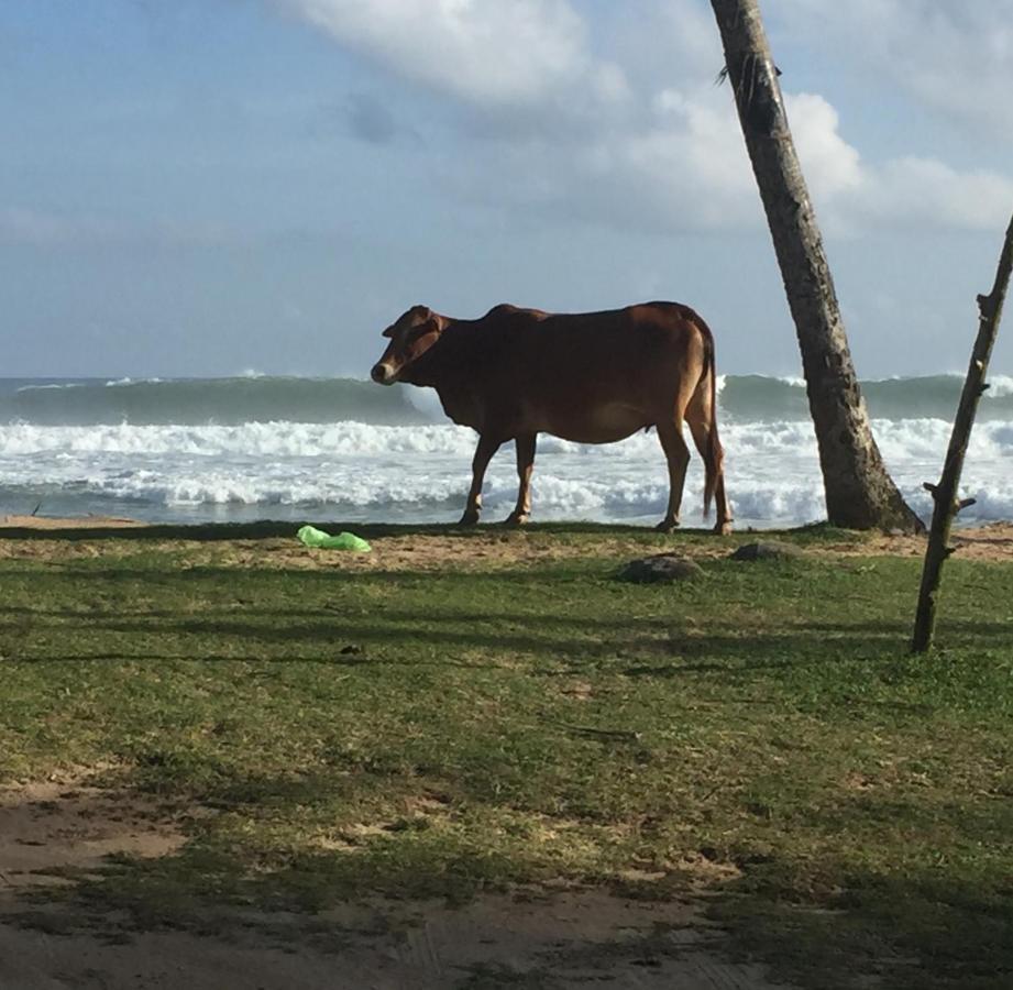 מלון ווליגאמה Sundance Surf Coconut Point מראה חיצוני תמונה